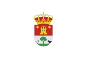 Bandera de Cubillo del Campo de alta calidad para exterior 123