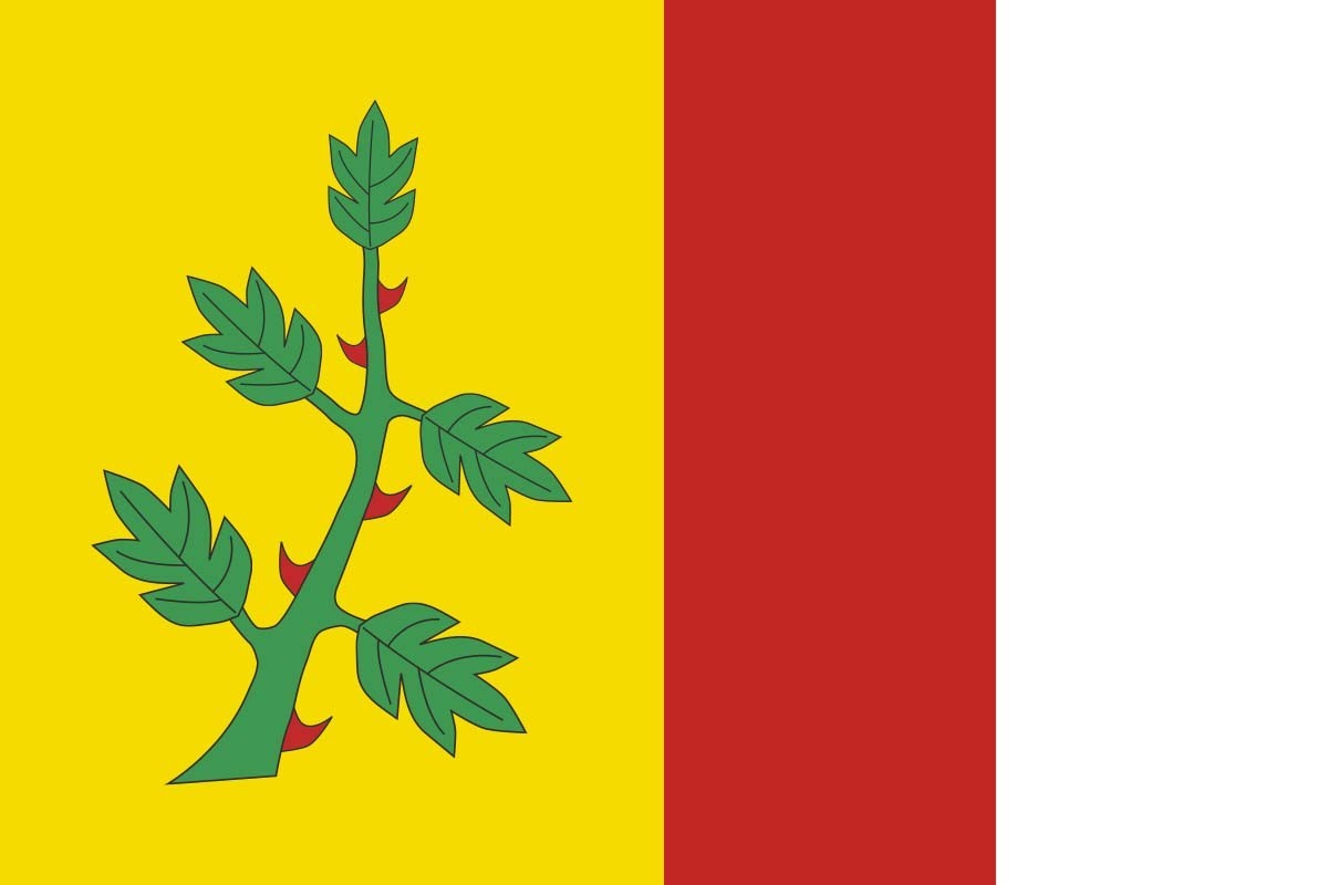Bandera de Espinosa de Villagonzalo de alta calidad para exterior Bandera de Espinosa de Villagonzalo de alta calidad para exterior