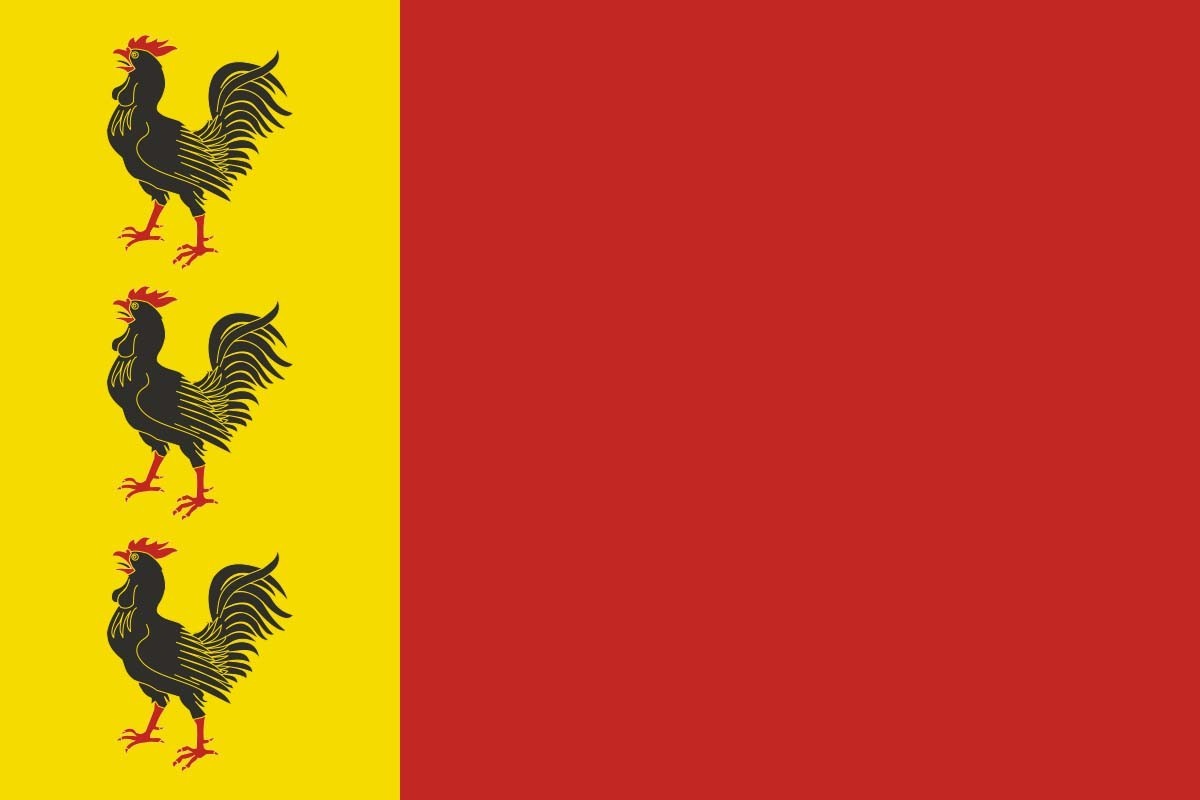 Bandera de Fuentepelayo de alta calidad para exterior Bandera de Fuentepelayo de alta calidad para exterior