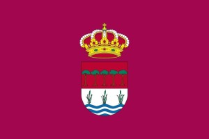 Bandera de Laguna de Duero de alta calidad para exterior 123