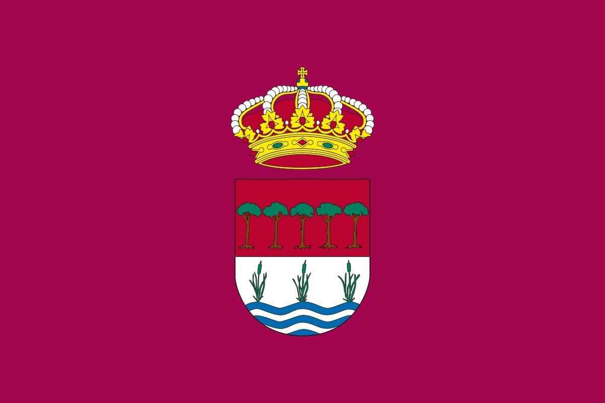 Bandera de Laguna de Duero de alta calidad para exterior