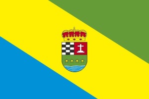 Bandera de Llanos de Tormes de alta calidad para exterior 123