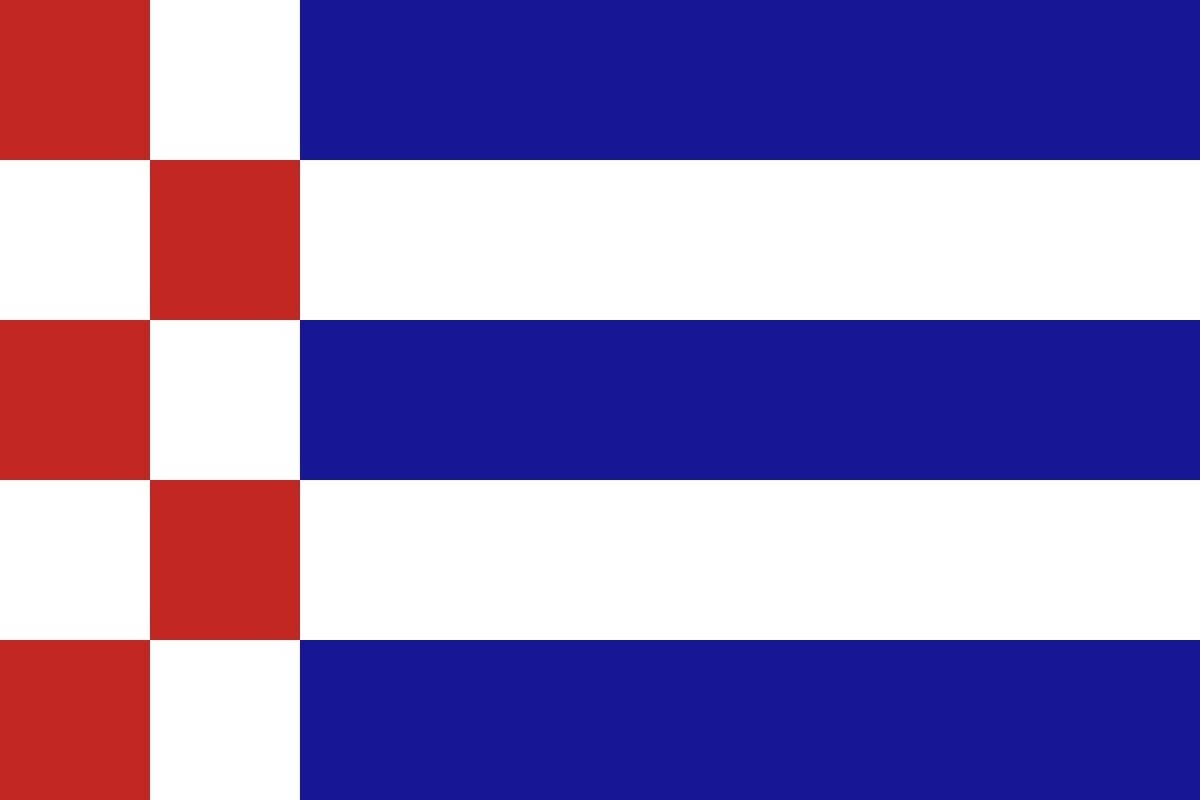 Bandera de Moral de Sayago de alta calidad para exterior Bandera de Moral de Sayago de alta calidad para exterior
