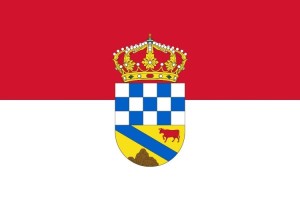 Bandera de Navatejares de alta calidad para exterior 123