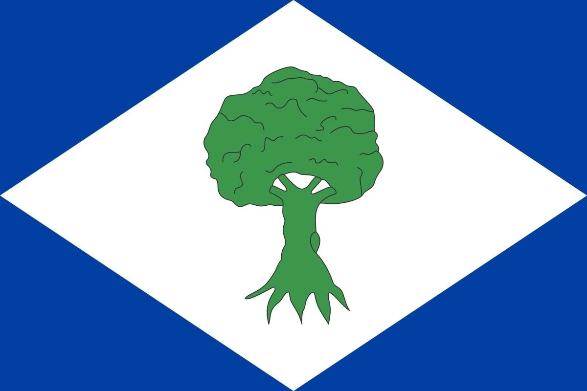 Bandera de Noceda del Bierzo de alta calidad para exterior Bandera de Noceda del Bierzo de alta calidad para exterior