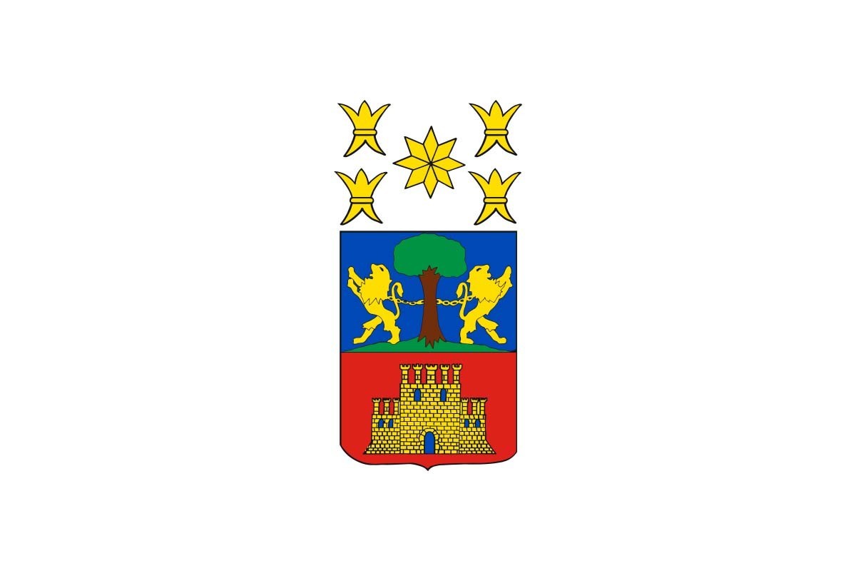 Bandera de Olmedo de alta calidad para exterior Bandera de Olmedo de alta calidad para exterior