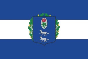 Bandera de Muskiz de alta calidad para exterior 123