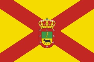Bandera de Paradinas de San Juan de alta calidad para exterior 123