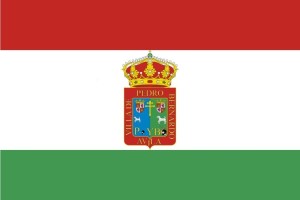 Bandera de Pedro Bernardo de alta calidad para exterior 123