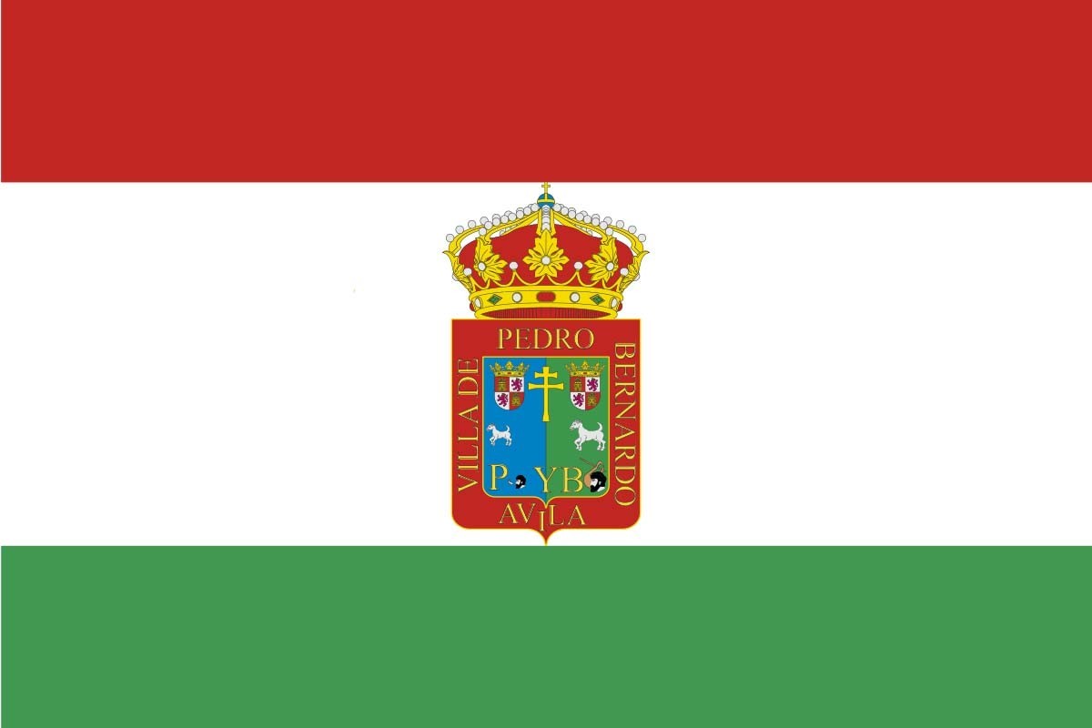 Bandera de Pedro Bernardo de alta calidad para exterior Bandera de Pedro Bernardo de alta calidad para exterior