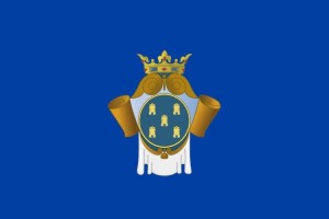 Bandera de Peñaranda de Bracamonte de alta calidad para exterior 123