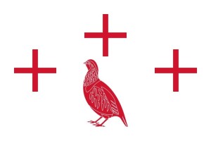 Bandera de Perdigón de alta calidad para exterior 123