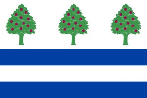 Bandera de Requejo de alta calidad para exterior 123