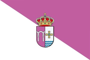 Bandera de San Cebrián de Mazote de alta calidad para exterior 123