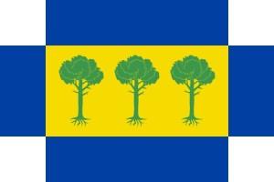 Bandera de San Martín y Mudrián de alta calidad para exterior 123