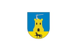 Bandera de Ormaiztegi de alta calidad para exterior 123