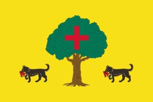 Bandera de Santa Cruz de la Salceda de alta calidad para exterior 123