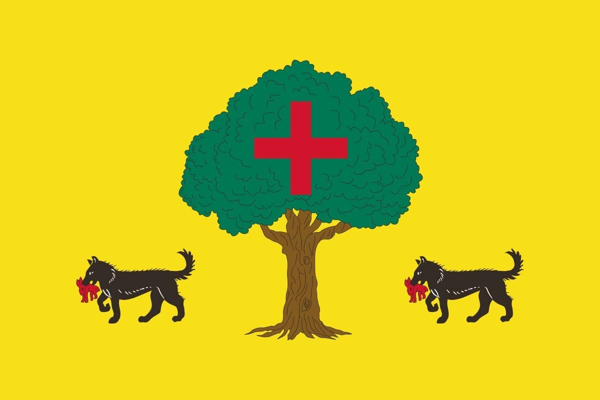 Bandera de Santa Cruz de la Salceda de alta calidad para exterior