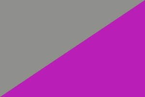 Bandera de Torregamones de alta calidad para exterior 123