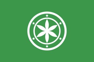 Bandera de Valle de Zamanzas de alta calidad para exterior 123