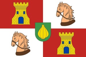 Bandera de Vallelado de alta calidad para exterior 123