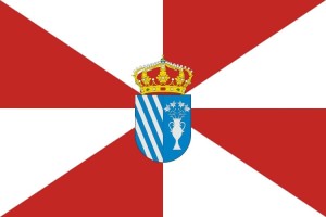 Bandera de Vídola de alta calidad para exterior 123