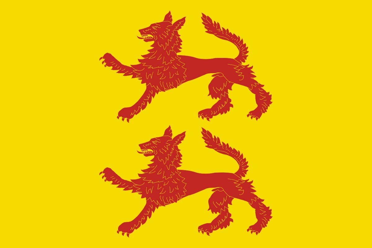 Bandera de Villalobos de alta calidad para exterior Bandera de Villalobos de alta calidad para exterior