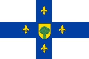 Bandera de Villaquejida de alta calidad para exterior 123