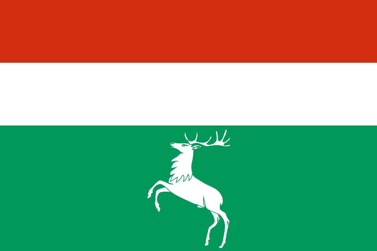 Bandera de Villardeciervos de alta calidad para exterior Bandera de Villardeciervos de alta calidad para exterior