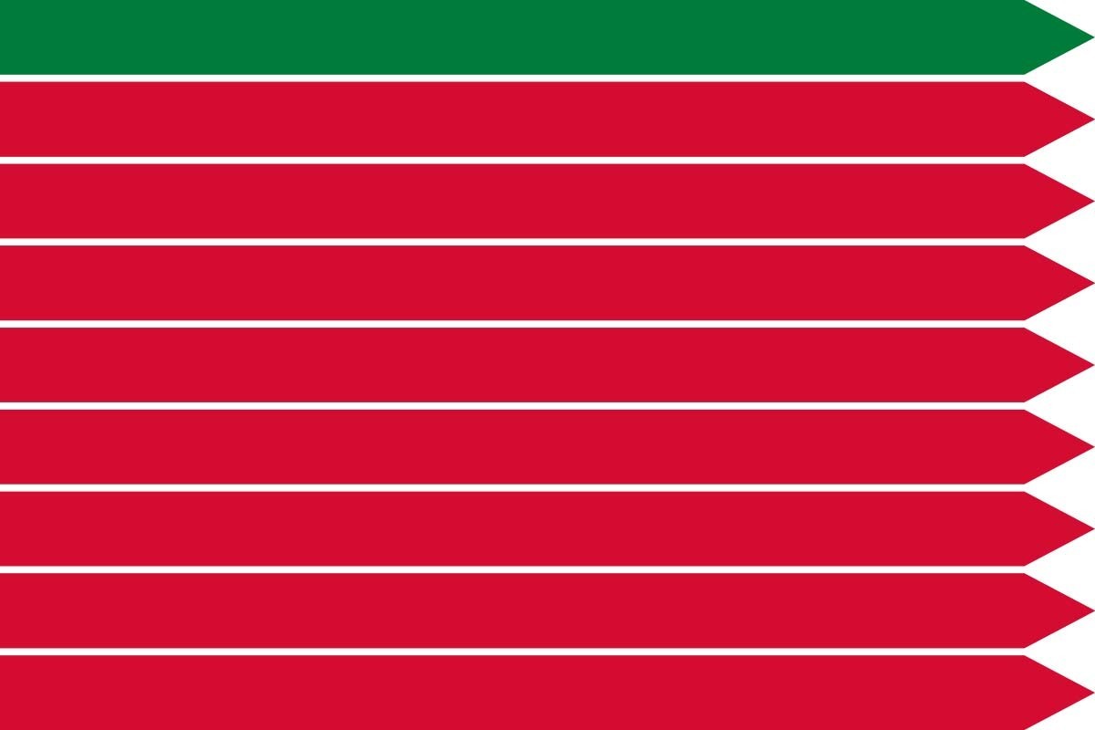 Bandera de Zamora de alta calidad para exterior Bandera de Zamora de alta calidad para exterior