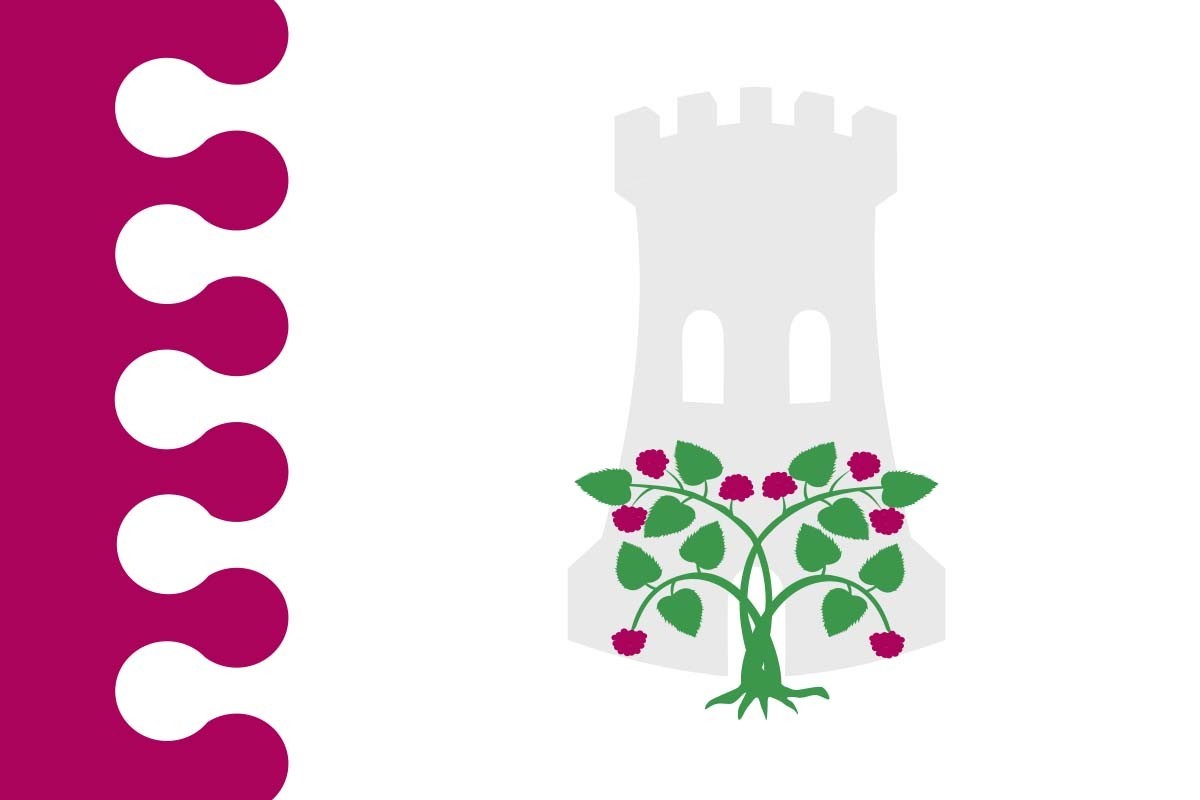 Bandera de Zarza de Pumareda de alta calidad para exterior Bandera de Zarza de Pumareda de alta calidad para exterior