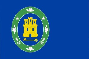 Bandera de Torres de Barbués de alta calidad para exterior 123