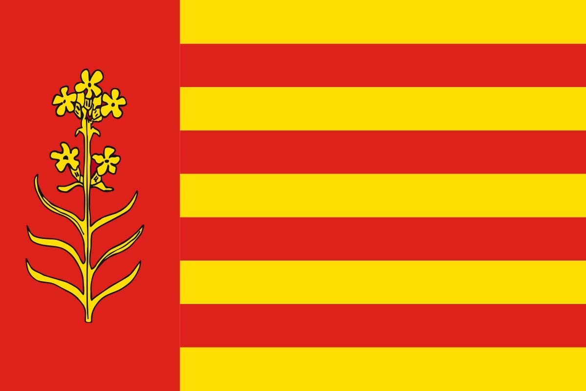 Bandera de Azuara de alta calidad para exterior