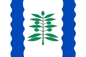 Bandera de Cinco Olivas de alta calidad para exterior 123