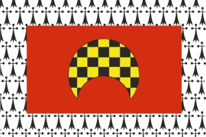 Bandera de Gelsa de alta calidad para exterior 123