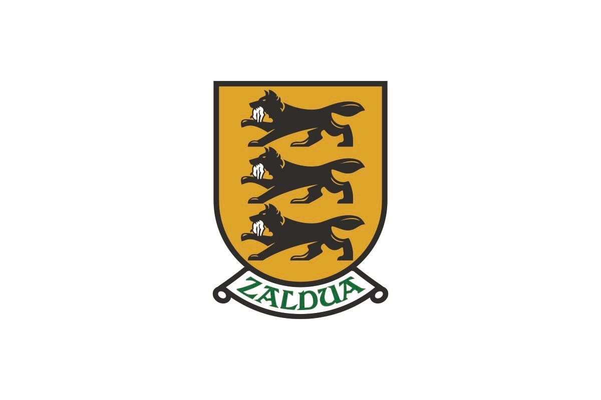 Bandera de Zaldibar de alta calidad para exterior Bandera de Zaldibar de alta calidad para exterior