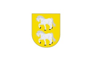 Bandera de Zaldibia de alta calidad para exterior 123