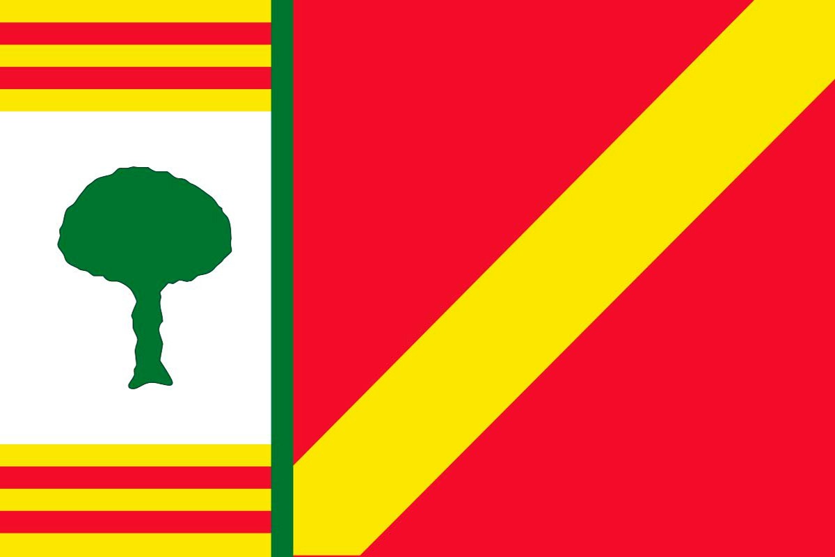 Bandera de Barrachina de alta calidad para exterior