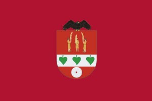 Bandera de Ziortza de alta calidad para exterior 123