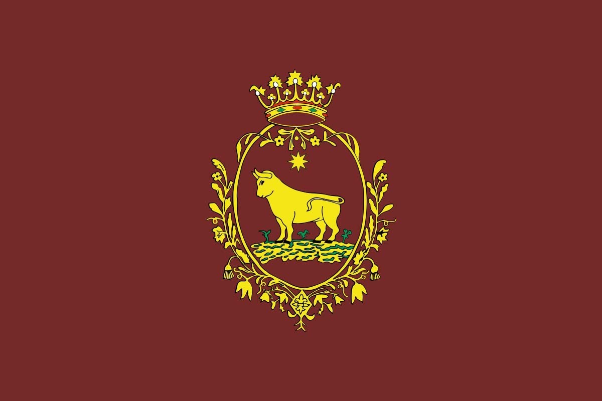 Bandera de Teruel de alta calidad para exterior Bandera de Teruel de alta calidad para exterior