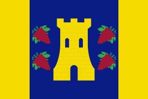 Bandera de Castillejo de Iniesta de alta calidad para exterior 123