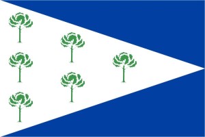 Bandera de Fuentenava de Jábaga de alta calidad para exterior 123