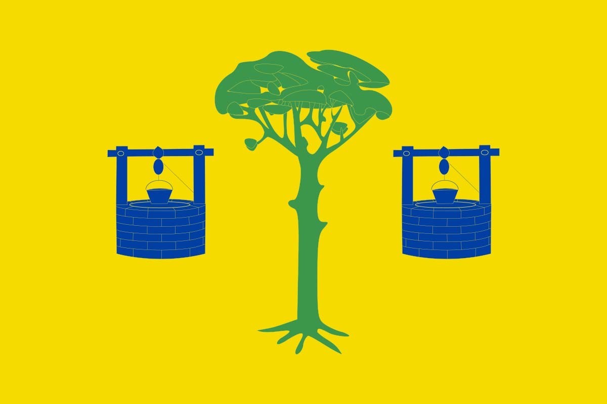 Bandera de Pinarejo de alta calidad para exterior Bandera de Pinarejo de alta calidad para exterior