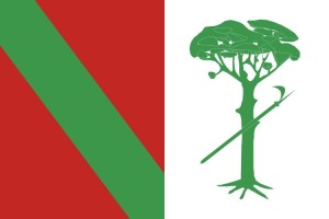 Bandera de Valdemeca de alta calidad para exterior 123