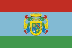 Bandera de Alguazas de alta calidad para exterior 123