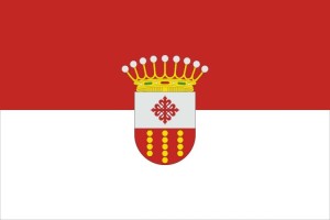 Bandera de Villarrubia de los Ojos de alta calidad para exterior 123