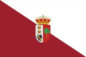 Bandera de Aldea en Cabo de alta calidad para exterior 123