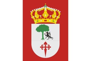 Bandera de Aldeanueva de Barbarroya de alta calidad para exterior 123