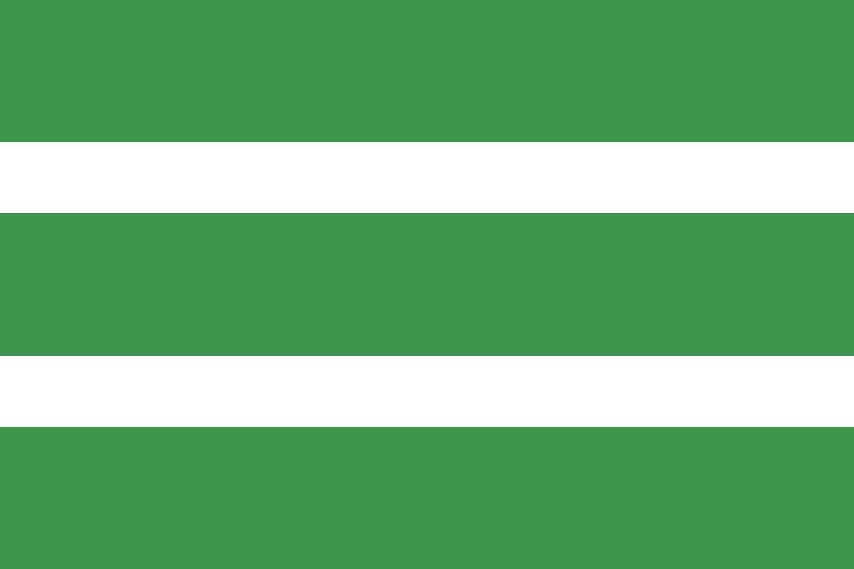 Bandera de Navalucillos de alta calidad para exterior Bandera de Navalucillos de alta calidad para exterior