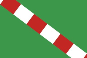 Bandera de Portillo de Toledo de alta calidad para exterior 123